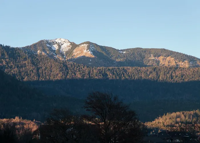 Bergwasser アパート *